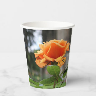 Rose Paper Cups