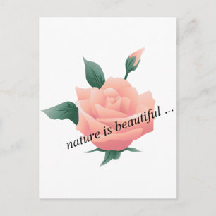 Rose (Peach) - Beautiful nature Postcard
