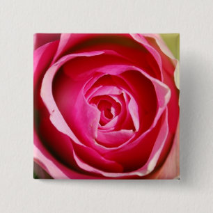 Rose Pedals 15 Cm Square Badge