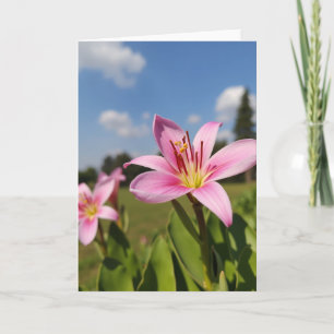 Rose Petal Flower Card