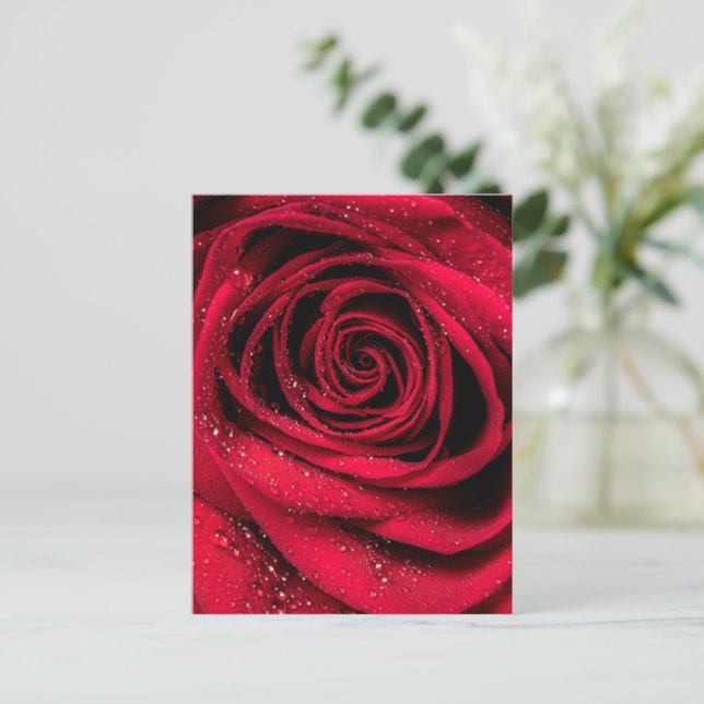 Rose Petals 1 Postcard (Standing Front)