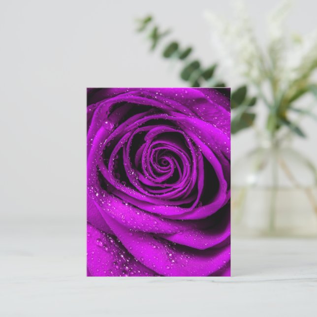 Rose Petals 2 Postcard (Standing Front)