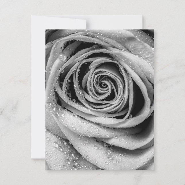 Rose Petals 5 Card (Front)
