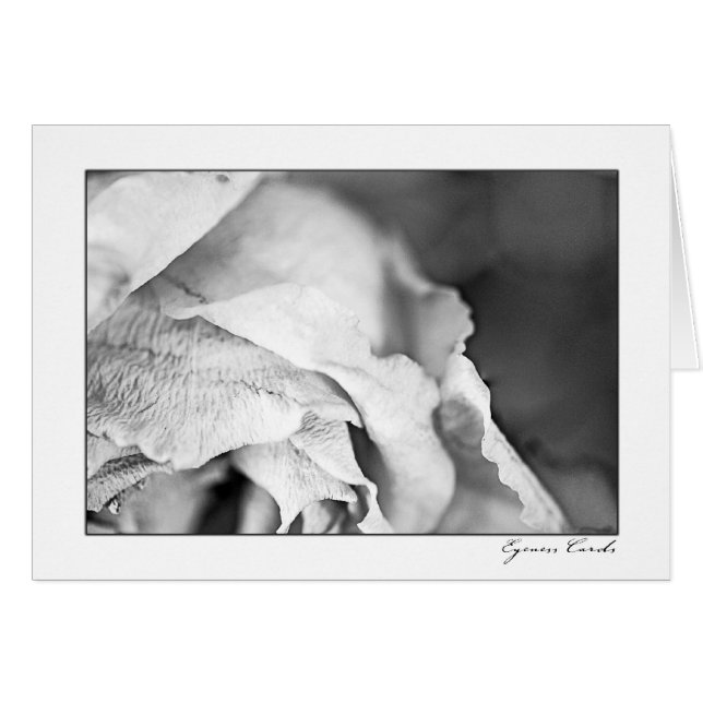 Rose Petals-Black and White (Front Horizontal)