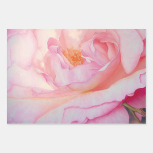 rose petals in shades of pink  wrapping paper sheet