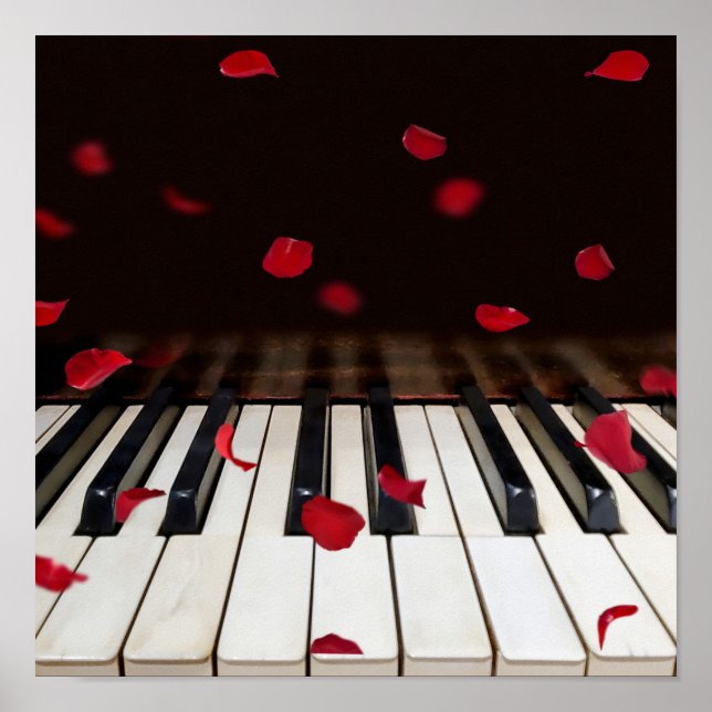 Rose Petals on Piano Keys Poster (Front)