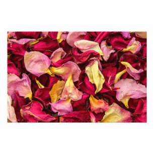 Rose Petals Photo Print