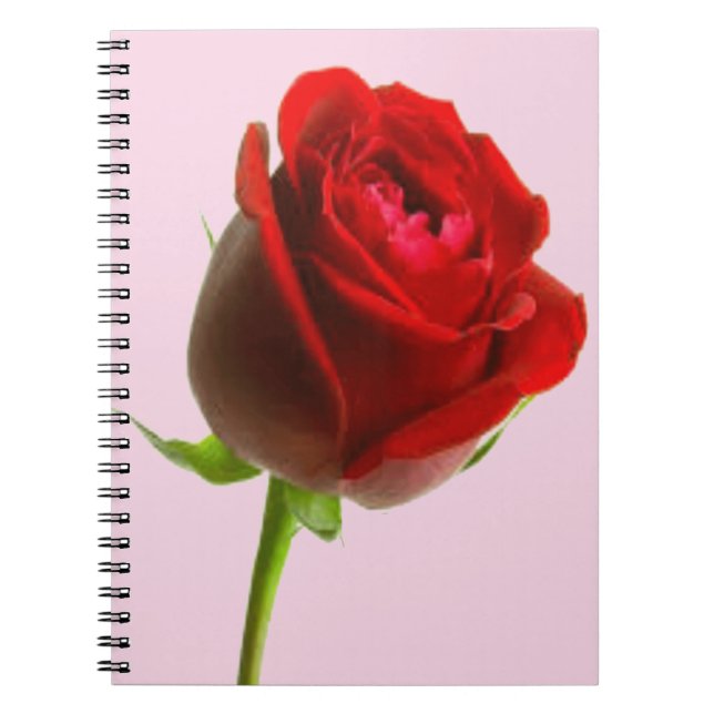 Rose & Pink Notebook (Front)