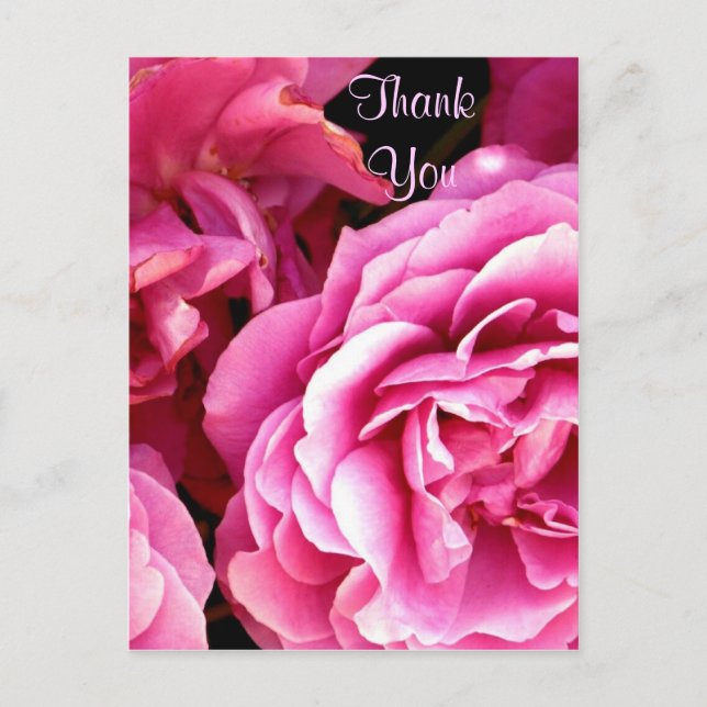 ROSE_ POSTCARD (Front)