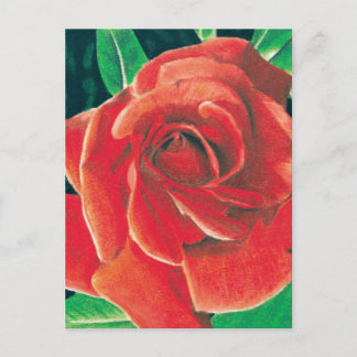 Rose Postcard by Jacob Grimm