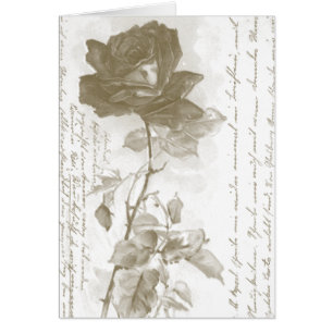 Rose Postcard Design