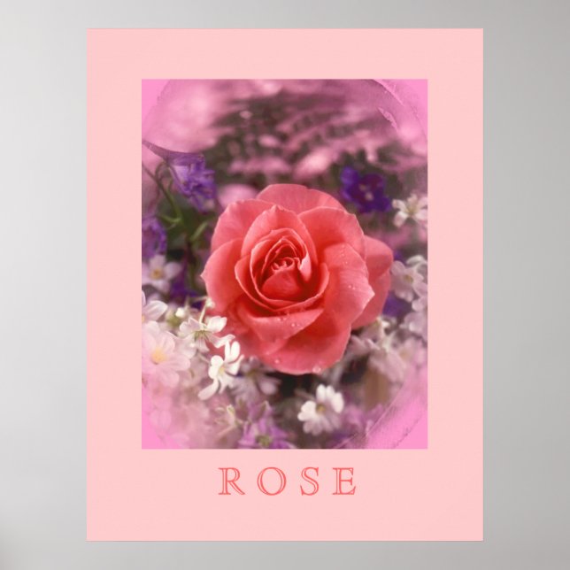 Rose Poster (Front)
