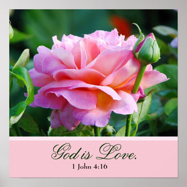 Rose Poster with Bible Verse (Front)