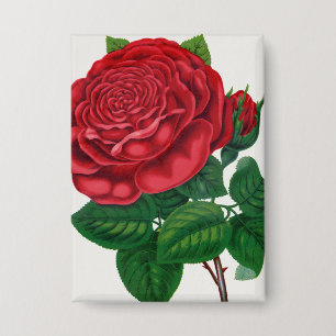 Rose Print Rochester Lithographing and Printing Co