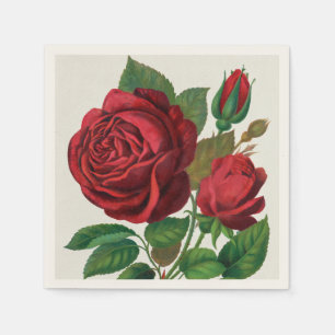 Rose Print Rochester Lithographing and Printing Co Napkin