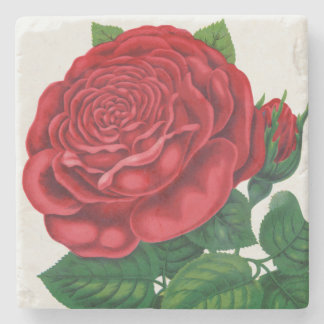 Rose Print Rochester Lithographing and Printing Co Stone Coaster