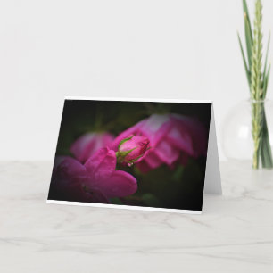 Rose & Raindrops, card