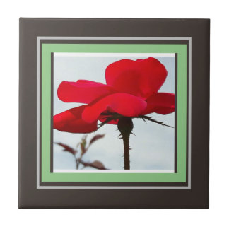 rose red ceramic tile