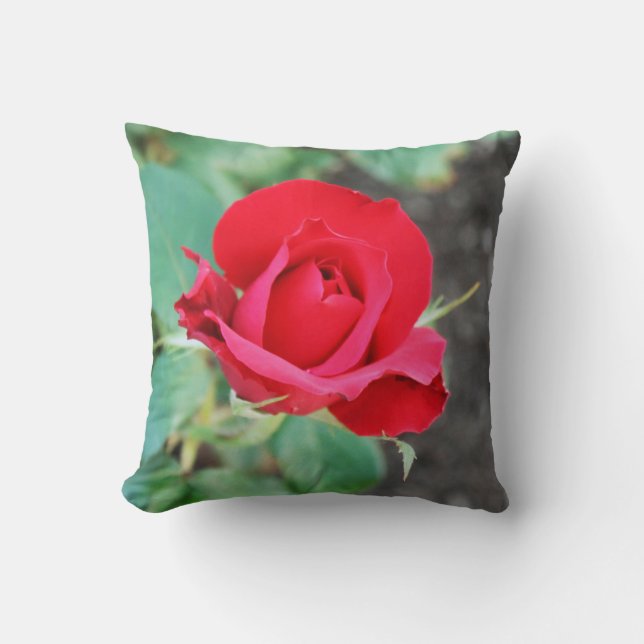 Rose Red  Cushion (Front)