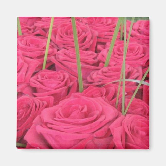 ROSE RED MAGNET (Front)