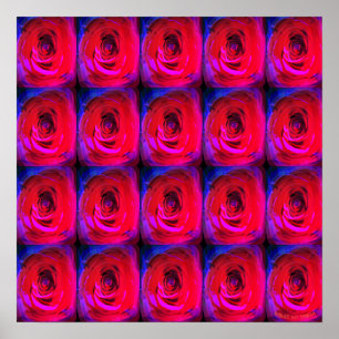 Rose Red Miami, poster
