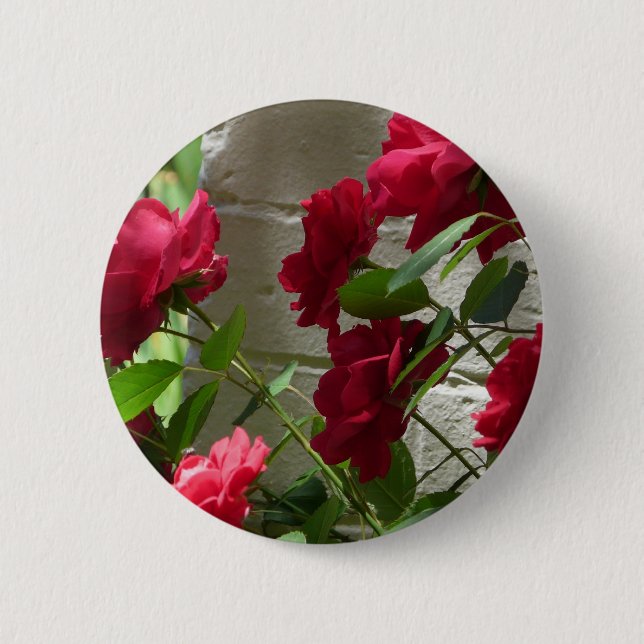 rose,red rose 6 cm round badge (Front)