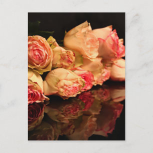 Rose reflection postcard