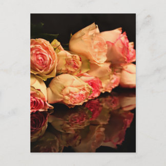 Rose reflection postcard