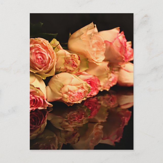 Rose reflection postcard (Front)