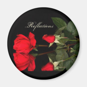 Rose, reflections magnet