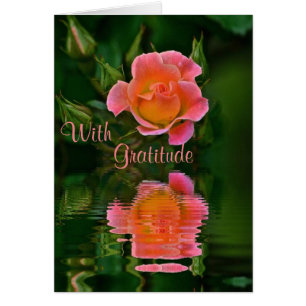 Rose Reflections Thank You Card