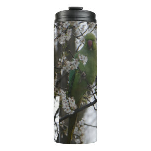 Rose-ringed Parakeet in Blossom Tree Tumbler