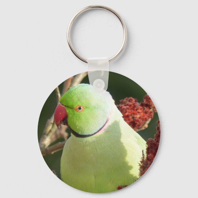 Rose-ringed parakeet key ring (Front)
