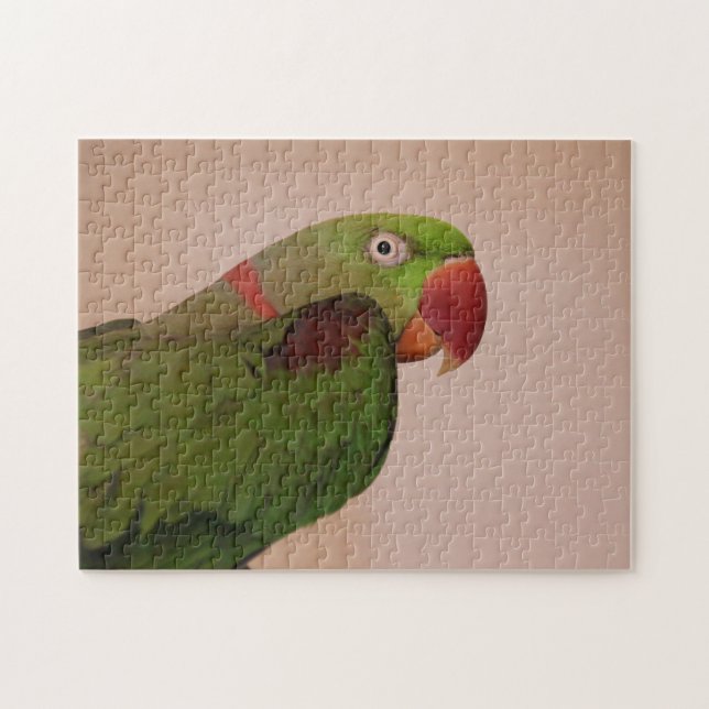 Rose-ringed Parakeet Photo Jigsaw Puzzle Difficult (Horizontal)