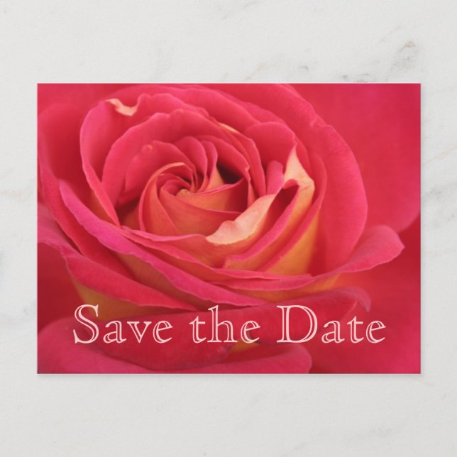 Rose Save the date 60th Birthday Celebration - Announcement Postcard (Front)