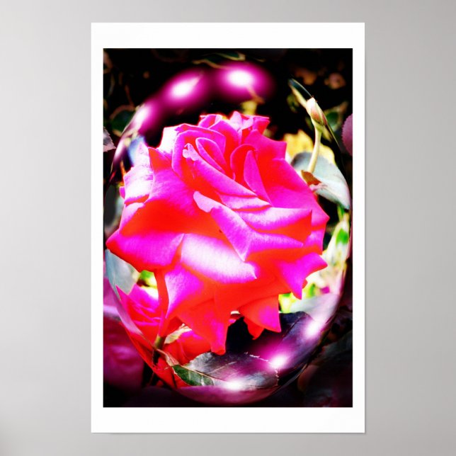 Rose spirits art poster (Front)