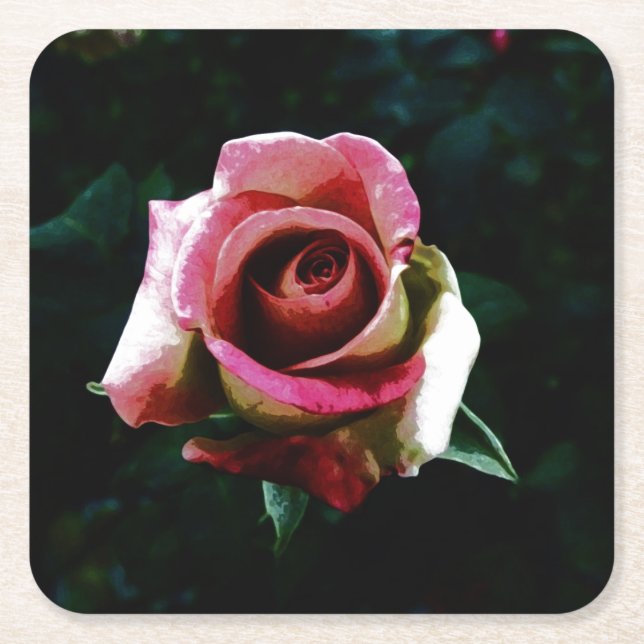 rose   square paper coaster (Front)