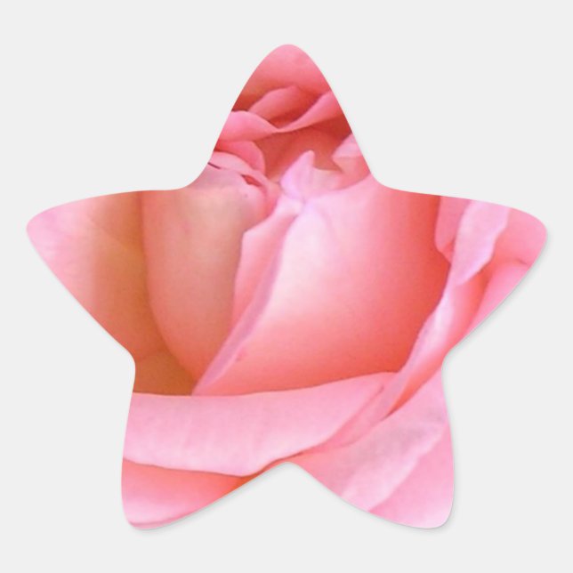 ROSE STAR STICKER (Front)