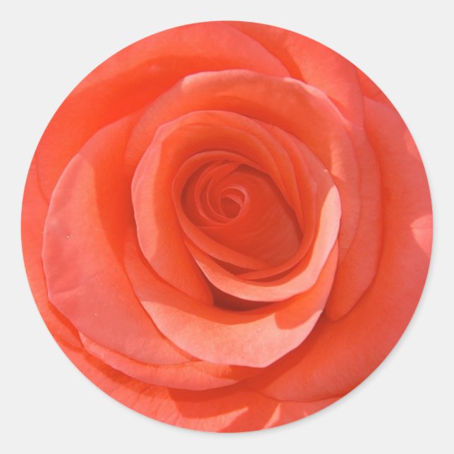 Rose Sticker (Front)