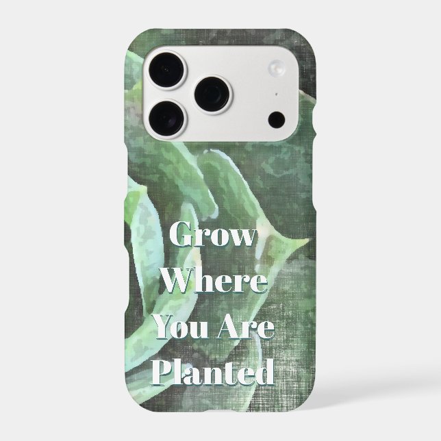Rose Succulent Grow Where You are Planted (Back)