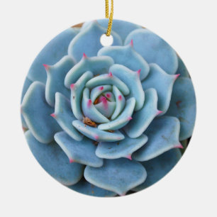 Rose Succulent Ornament
