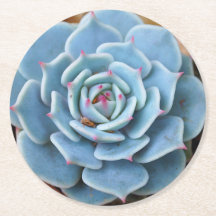 Rose Succulent Round Coaster