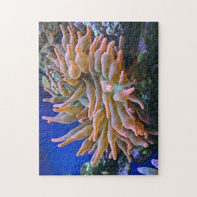 Rose Tip Anemone Jigsaw Puzzle (Vertical)