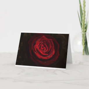 Rose Vines Heart Pattern Flower Peace Love Destiny Card
