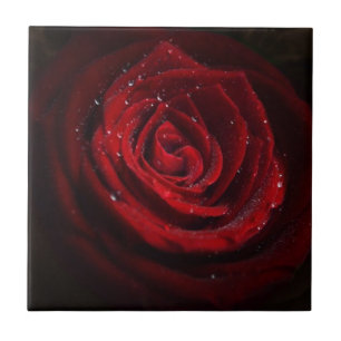 Rose Vines Heart Pattern Flower Peace Love Destiny Ceramic Tile