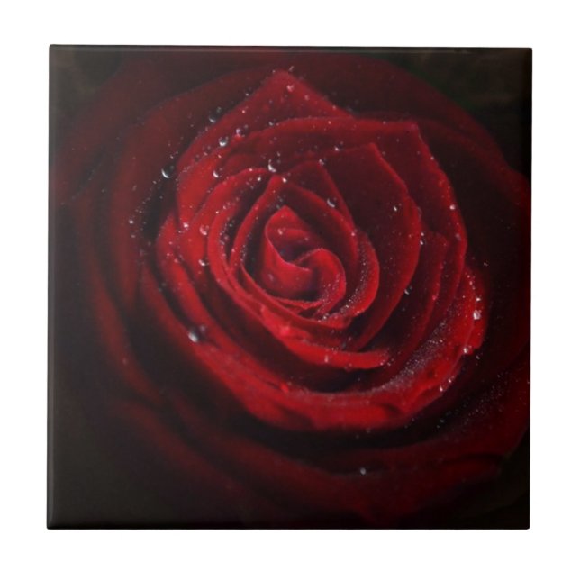 Rose Vines Heart Pattern Flower Peace Love Destiny Ceramic Tile (Front)