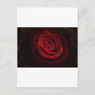 Rose Vines Heart Pattern Flower Peace Love Destiny Postcard