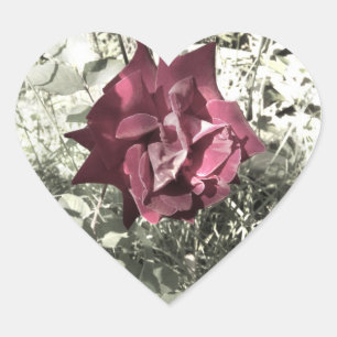 Rose Vintage Colour Heart Sticker