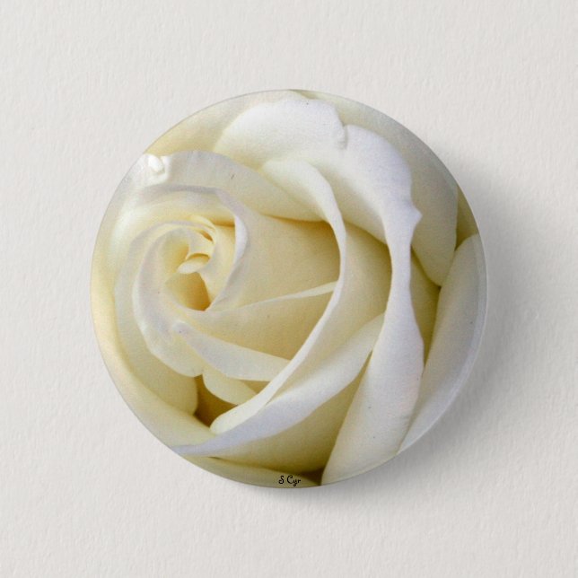 Rose White 6 Cm Round Badge (Front)