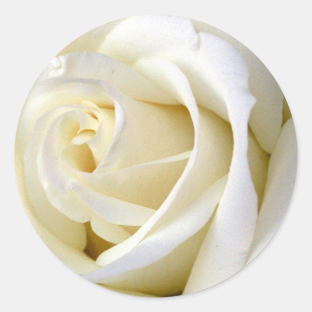 Rose White Classic Round Sticker (Front)